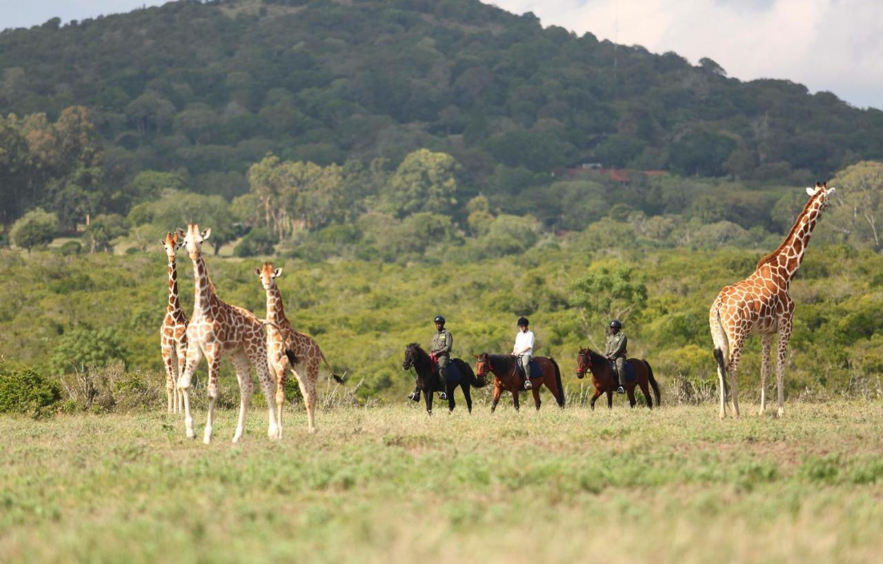 The Aberdare Country Club Hotell Mweiga Eksteriør bilde