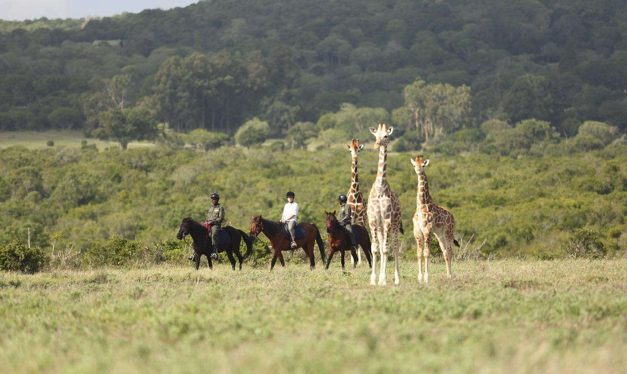 The Aberdare Country Club Hotell Mweiga Eksteriør bilde