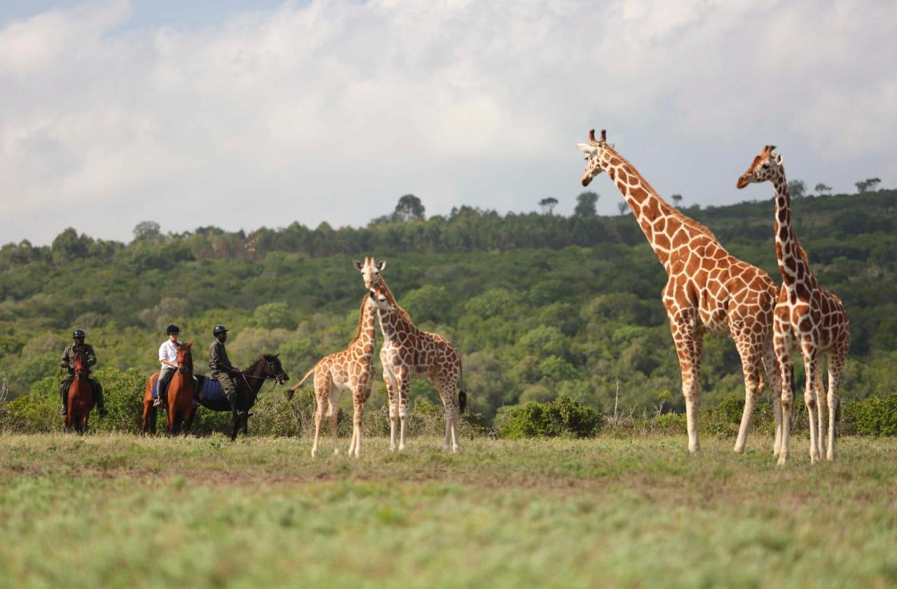 The Aberdare Country Club Hotell Mweiga Eksteriør bilde