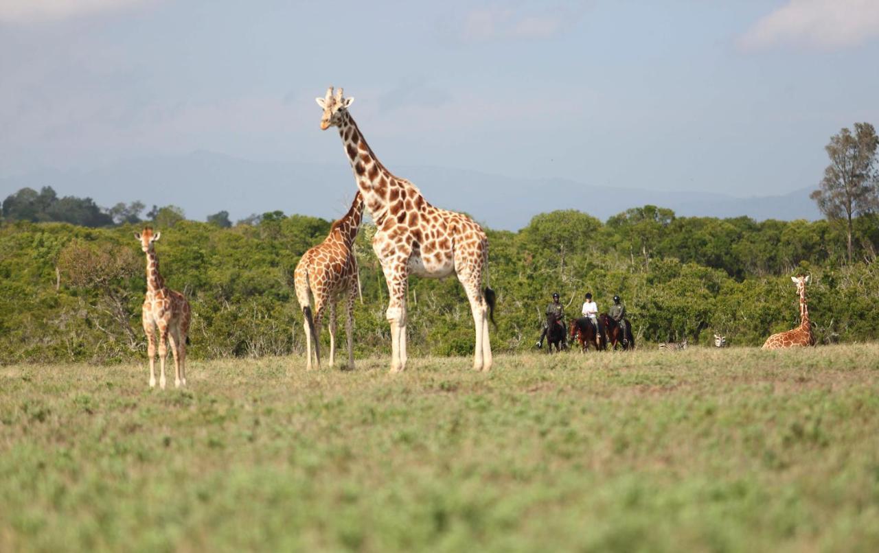 The Aberdare Country Club Hotell Mweiga Eksteriør bilde