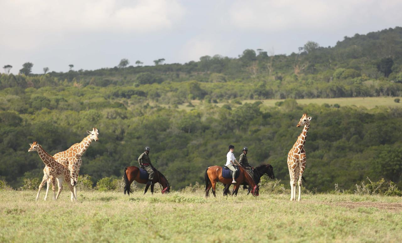 The Aberdare Country Club Hotell Mweiga Eksteriør bilde