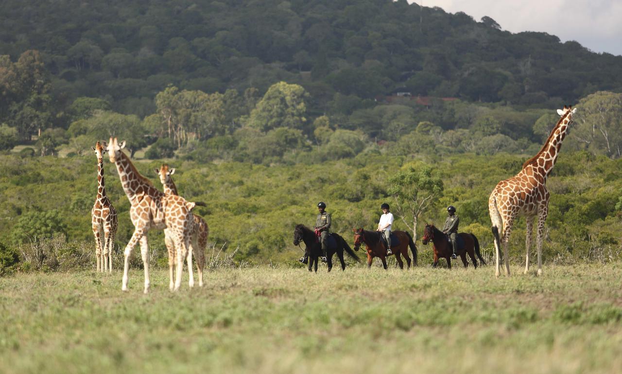 The Aberdare Country Club Hotell Mweiga Eksteriør bilde
